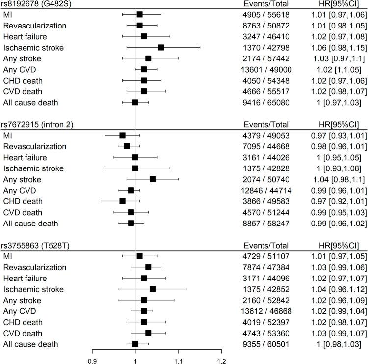 https://cdn.ncbi.nlm.nih.gov/pmc/blobs/0a1c/9260705/b25d64351c10/fphys-13-909870-g003.jpg