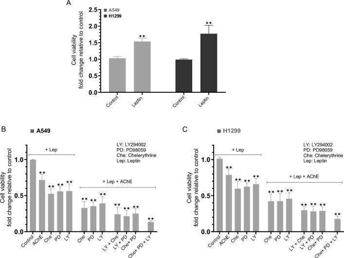 https://cdn.ncbi.nlm.nih.gov/pmc/blobs/0a1f/10901813/90312efa61d5/41598_2024_55717_Fig8_HTML.jpg