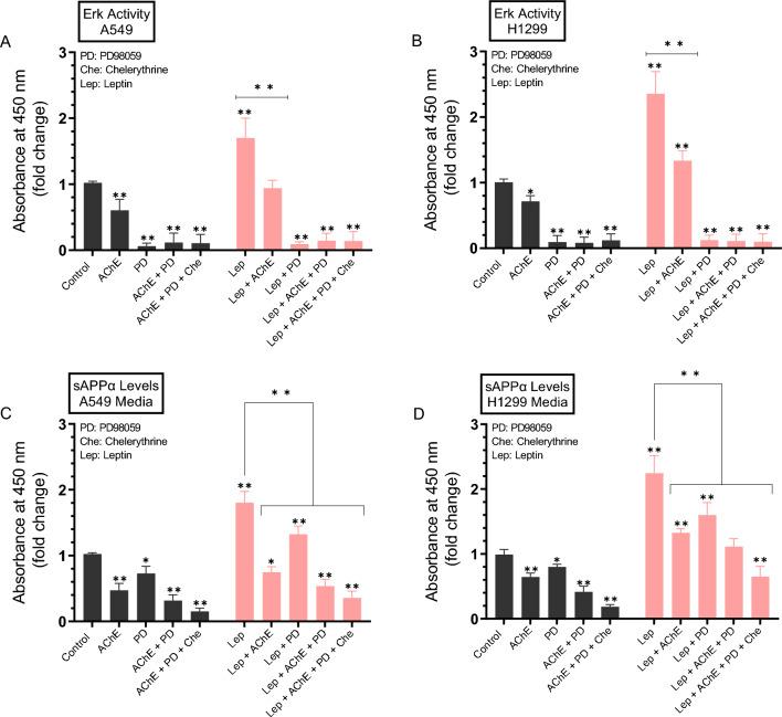 https://cdn.ncbi.nlm.nih.gov/pmc/blobs/0a1f/10901813/a393775f8d32/41598_2024_55717_Fig6_HTML.jpg