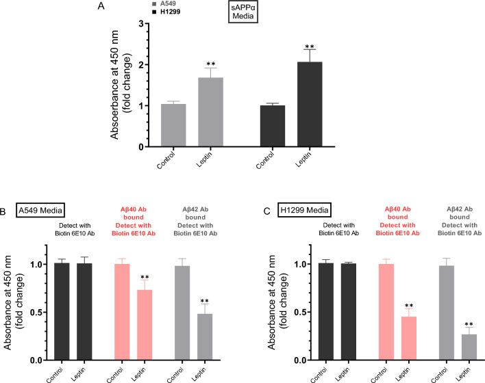 https://cdn.ncbi.nlm.nih.gov/pmc/blobs/0a1f/10901813/f700c8c53f04/41598_2024_55717_Fig2_HTML.jpg