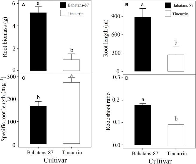 https://cdn.ncbi.nlm.nih.gov/pmc/blobs/0a1f/7466772/97a23d93ca45/fpls-11-01285-g004.jpg