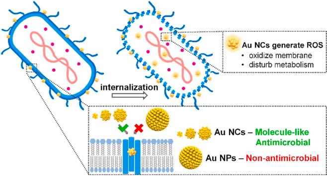 https://cdn.ncbi.nlm.nih.gov/pmc/blobs/0a20/7560576/2dc0828ecbb4/fx1.jpg