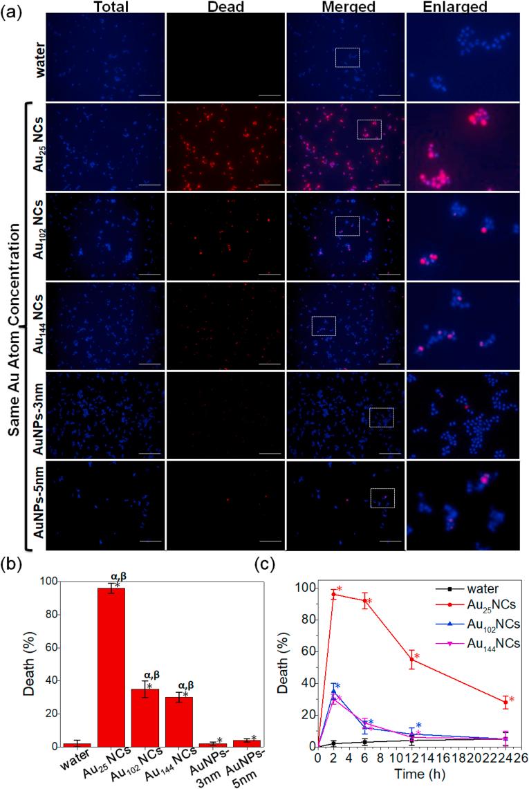 https://cdn.ncbi.nlm.nih.gov/pmc/blobs/0a20/7560576/b687ea4aff70/gr2.jpg
