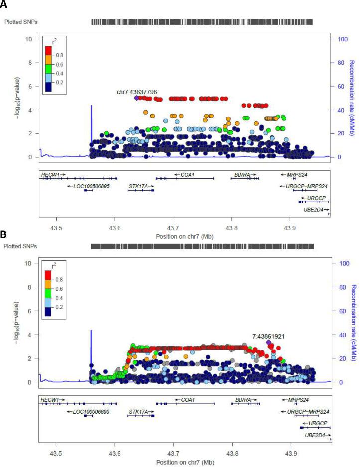 https://cdn.ncbi.nlm.nih.gov/pmc/blobs/0a22/8096429/06270219b055/elife-57849-fig3.jpg