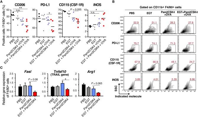 https://cdn.ncbi.nlm.nih.gov/pmc/blobs/0a23/6458301/f6010c8bbd9d/fimmu-10-00671-g0005.jpg