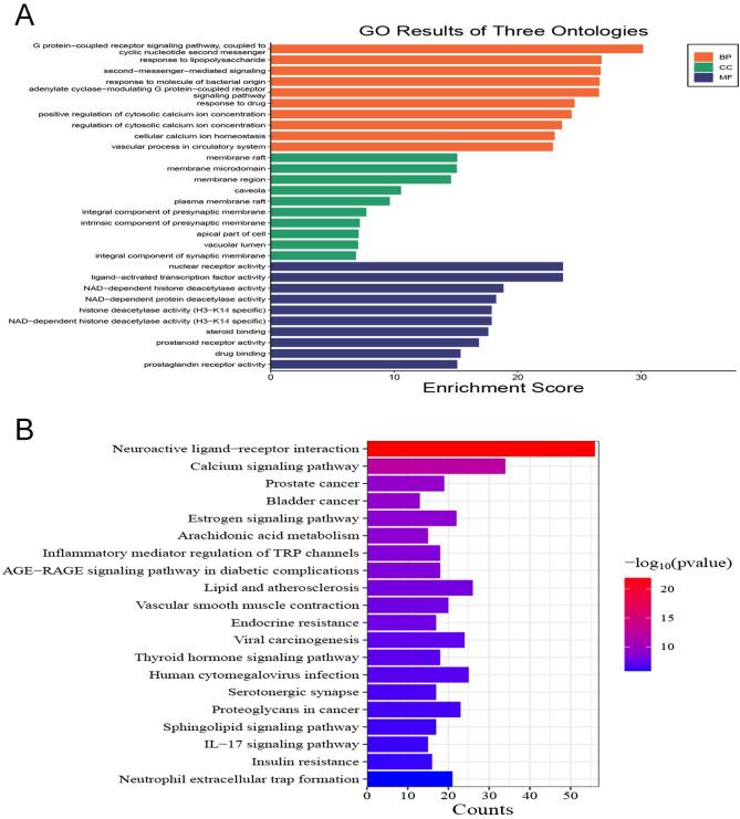 https://cdn.ncbi.nlm.nih.gov/pmc/blobs/0a24/12217821/c35dd05c5f76/41065_2025_490_Fig5_HTML.jpg