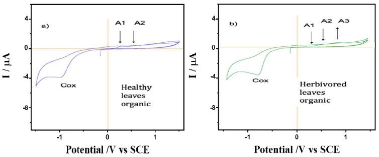 https://cdn.ncbi.nlm.nih.gov/pmc/blobs/0a27/9921458/5e593828d948/plants-12-00520-g003.jpg