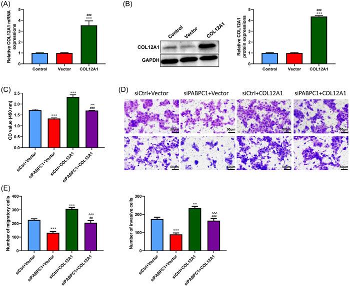 https://cdn.ncbi.nlm.nih.gov/pmc/blobs/0a28/10336663/13f8c1063749/IID3-11-e919-g001.jpg