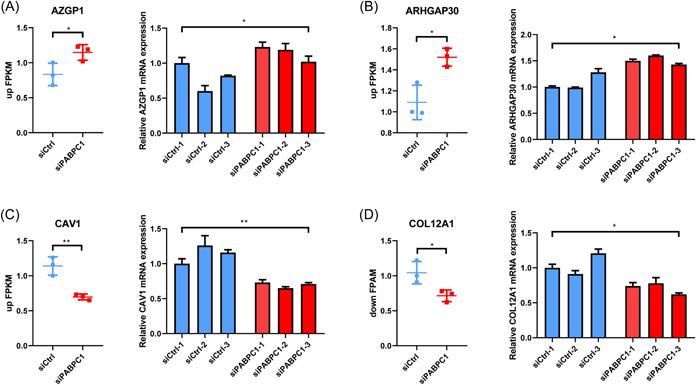 https://cdn.ncbi.nlm.nih.gov/pmc/blobs/0a28/10336663/4253d2cc6b45/IID3-11-e919-g002.jpg