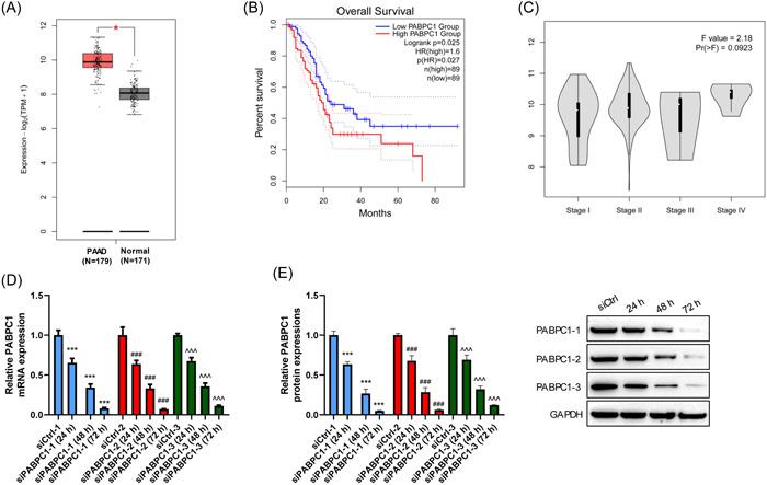 https://cdn.ncbi.nlm.nih.gov/pmc/blobs/0a28/10336663/db85c3808ba9/IID3-11-e919-g005.jpg