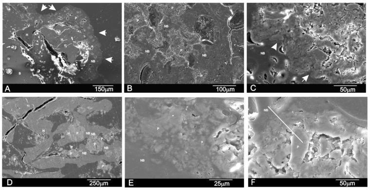 https://cdn.ncbi.nlm.nih.gov/pmc/blobs/0a2a/5457066/ffab482235fc/materials-09-00785-g007.jpg