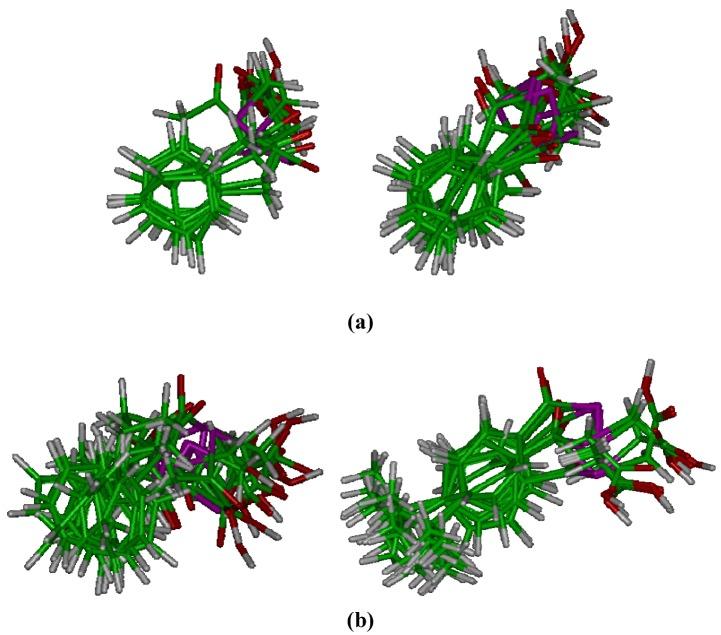 https://cdn.ncbi.nlm.nih.gov/pmc/blobs/0a2b/6254723/07598aec6aa2/molecules-14-03313-g003.jpg