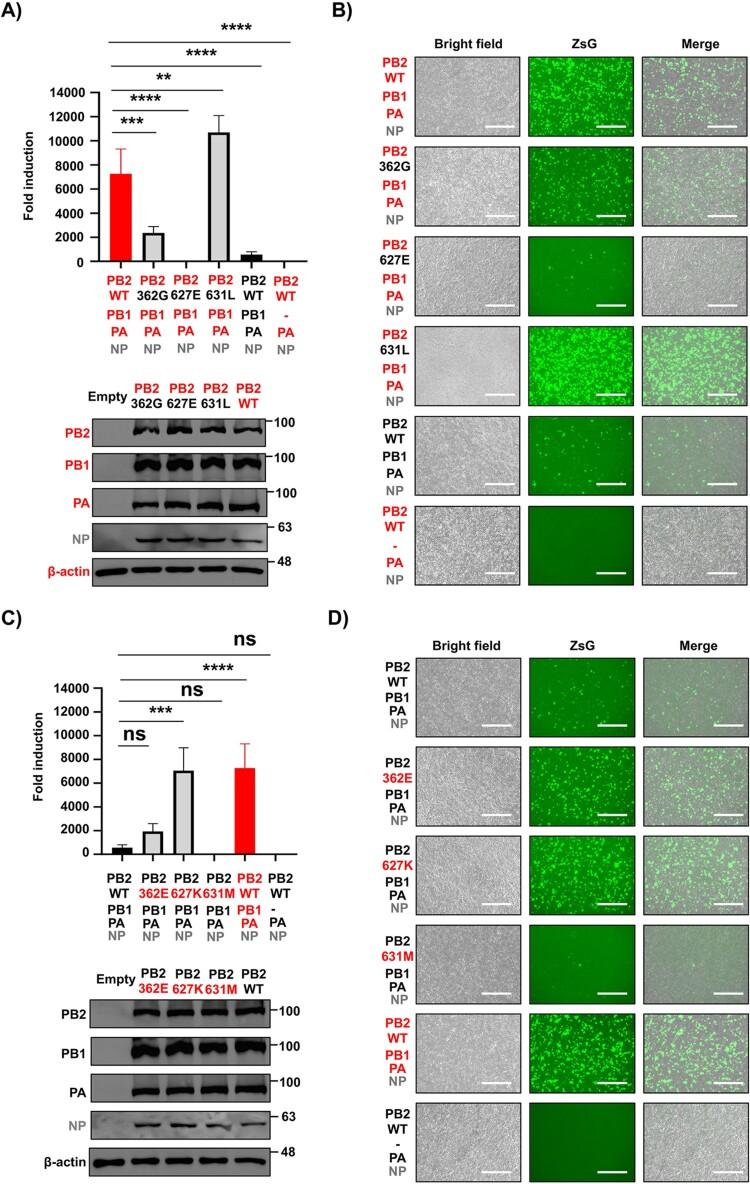 https://cdn.ncbi.nlm.nih.gov/pmc/blobs/0a2d/12372494/6d1fc1a62290/TEMI_A_2542247_F0003_OC.jpg