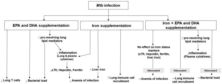 https://cdn.ncbi.nlm.nih.gov/pmc/blobs/0a2d/7551947/08aa8267b58e/nutrients-12-02897-g008.jpg