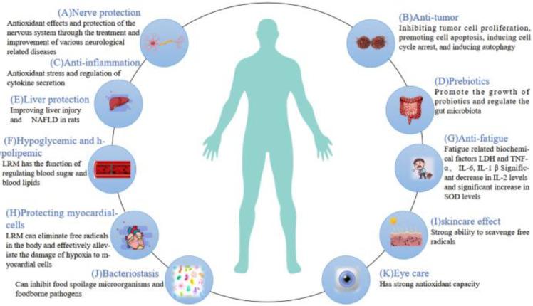 https://cdn.ncbi.nlm.nih.gov/pmc/blobs/0a2e/11123928/434c847359c9/molecules-29-02269-g004.jpg