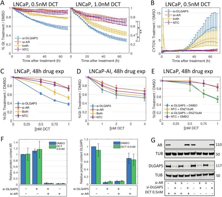 https://cdn.ncbi.nlm.nih.gov/pmc/blobs/0a2e/6195526/1b4308fc4cb5/41419_2018_1115_Fig3_HTML.jpg