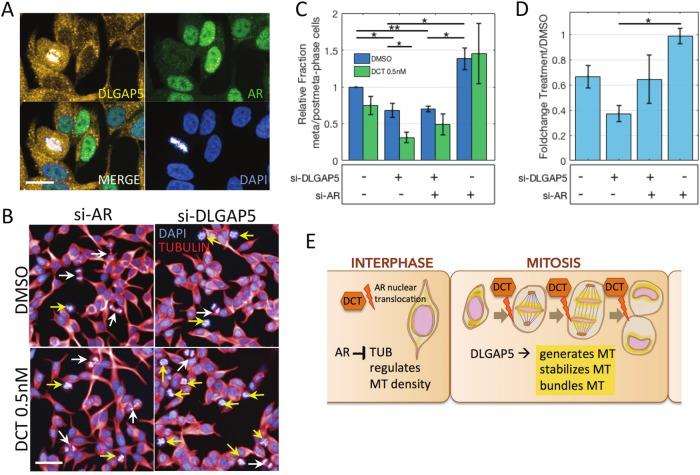 https://cdn.ncbi.nlm.nih.gov/pmc/blobs/0a2e/6195526/4c442720cbad/41419_2018_1115_Fig4_HTML.jpg