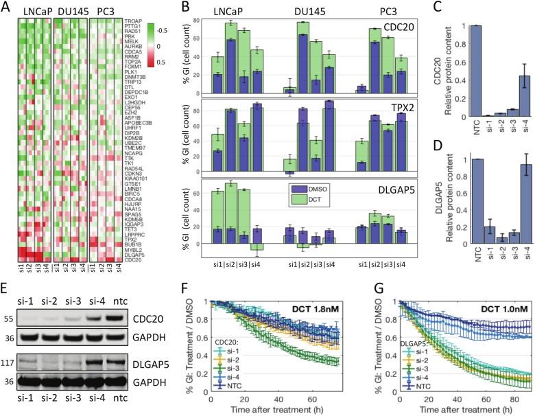https://cdn.ncbi.nlm.nih.gov/pmc/blobs/0a2e/6195526/af9e91332b3f/41419_2018_1115_Fig2_HTML.jpg