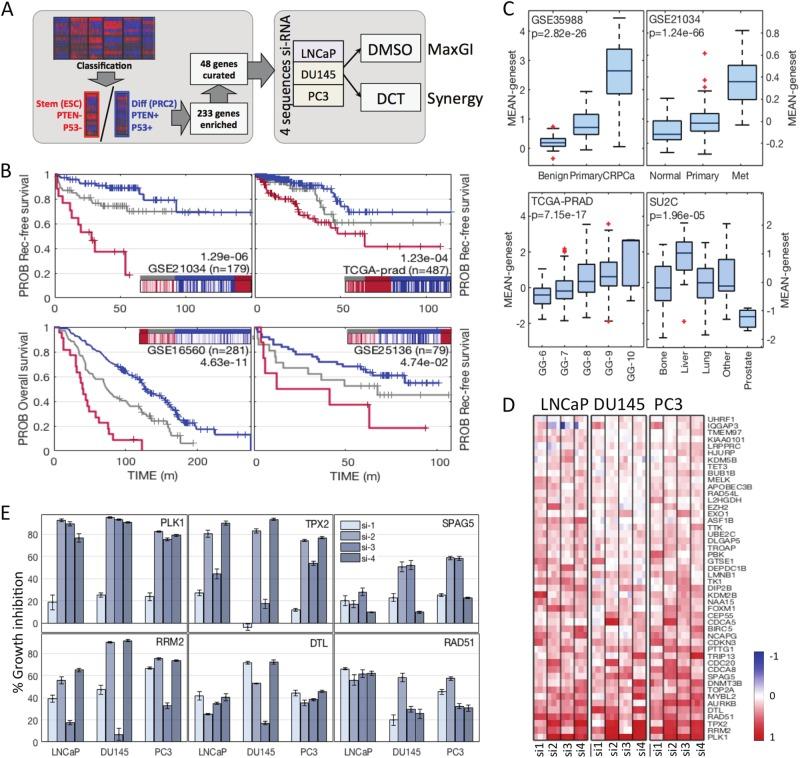 https://cdn.ncbi.nlm.nih.gov/pmc/blobs/0a2e/6195526/e3a335c006e2/41419_2018_1115_Fig1_HTML.jpg