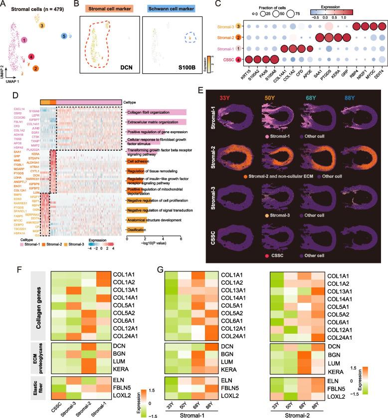 https://cdn.ncbi.nlm.nih.gov/pmc/blobs/0a32/12087038/020a7ab0cfb4/13073_2025_1475_Fig5_HTML.jpg