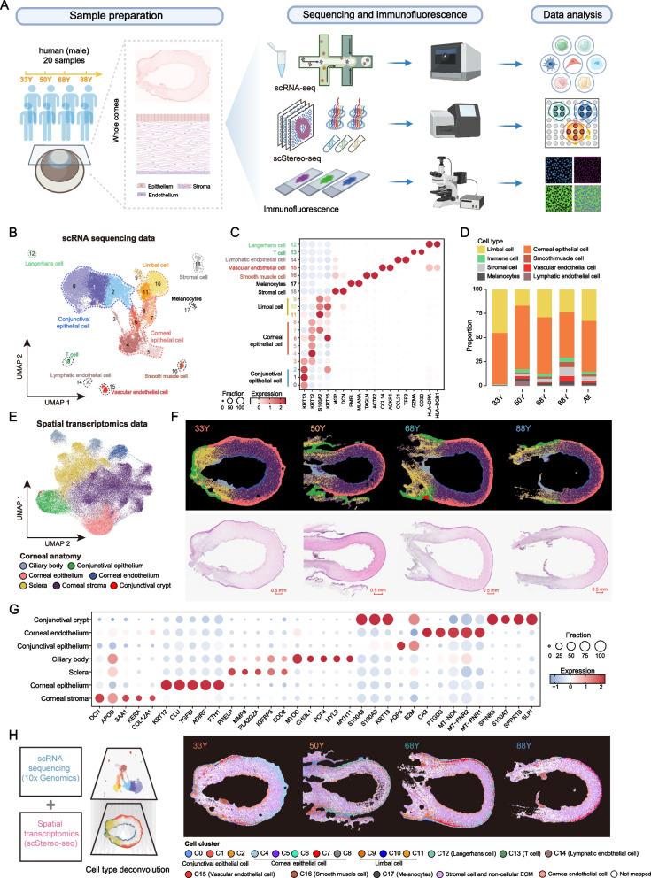 https://cdn.ncbi.nlm.nih.gov/pmc/blobs/0a32/12087038/c75c46958489/13073_2025_1475_Fig1_HTML.jpg