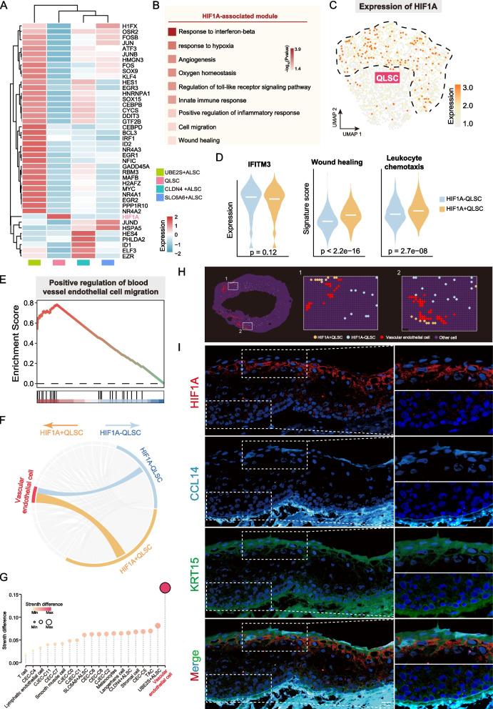 https://cdn.ncbi.nlm.nih.gov/pmc/blobs/0a32/12087038/e128c0d47218/13073_2025_1475_Fig3_HTML.jpg