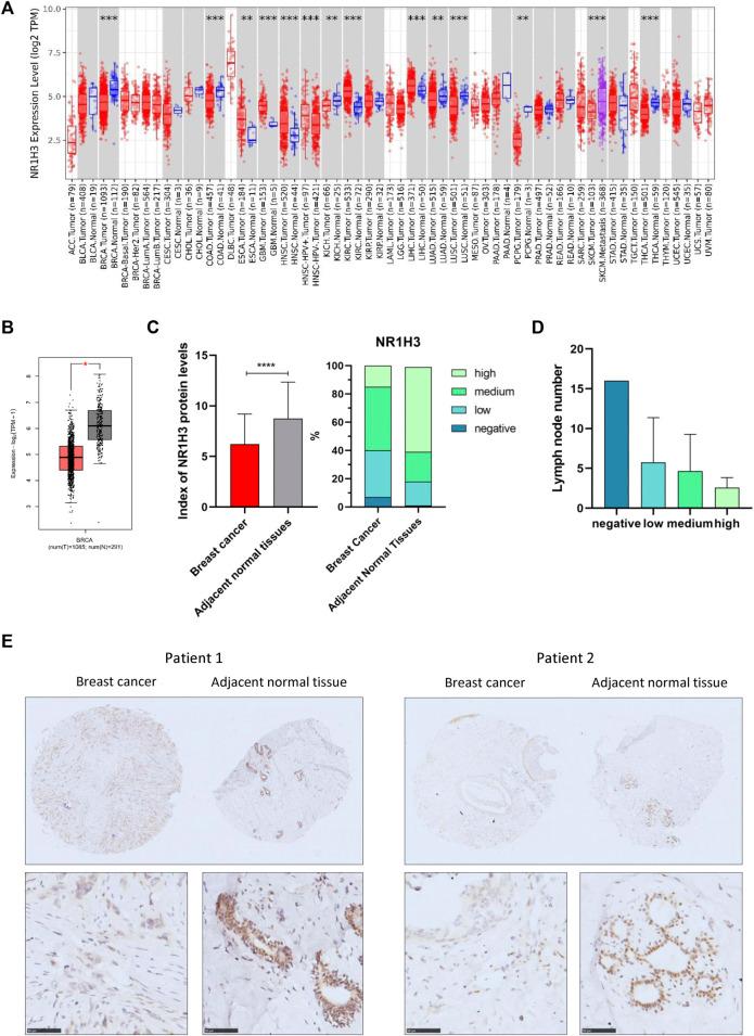 https://cdn.ncbi.nlm.nih.gov/pmc/blobs/0a33/9868774/63ac1e6427c0/fgene-13-1067826-g001.jpg