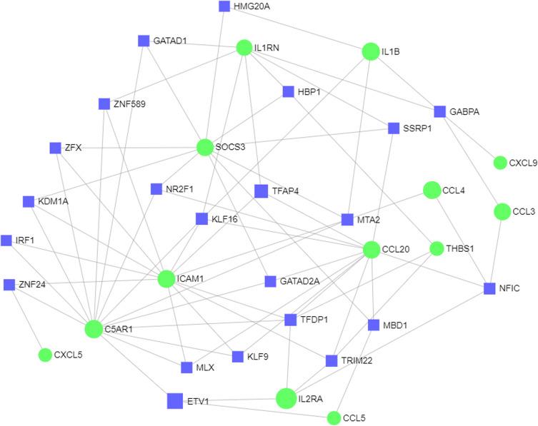 https://cdn.ncbi.nlm.nih.gov/pmc/blobs/0a34/8323865/70dcb77b0003/JIR-14-3537-g0008.jpg