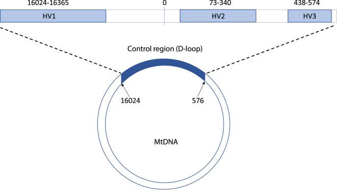 https://cdn.ncbi.nlm.nih.gov/pmc/blobs/0a34/8457767/0b87b9ed4ec3/ETLS-5-415-g0002.jpg