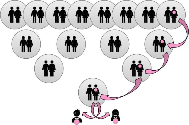https://cdn.ncbi.nlm.nih.gov/pmc/blobs/0a34/8457767/7594095fdf7d/ETLS-5-415-g0001.jpg