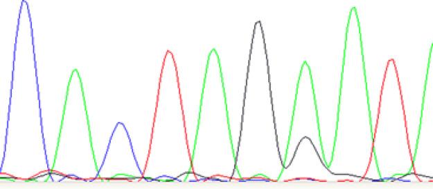 https://cdn.ncbi.nlm.nih.gov/pmc/blobs/0a34/8457767/b48da47060e7/ETLS-5-415-g0005.jpg