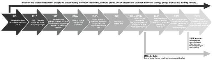 https://cdn.ncbi.nlm.nih.gov/pmc/blobs/0a35/10976114/8296f08897cc/pharmaceutics-16-00374-g001.jpg