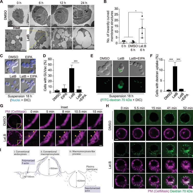 https://cdn.ncbi.nlm.nih.gov/pmc/blobs/0a35/11542918/a15110c65e7d/elife-96178-fig2.jpg