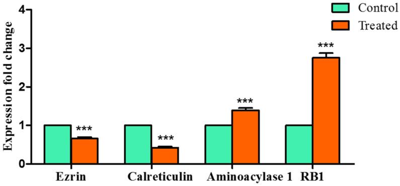 https://cdn.ncbi.nlm.nih.gov/pmc/blobs/0a35/9413334/4b0f40924bb0/molecules-27-05104-g010.jpg