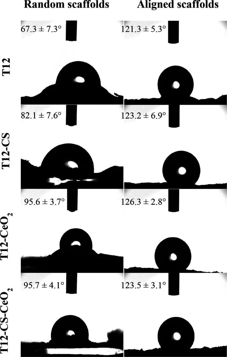https://cdn.ncbi.nlm.nih.gov/pmc/blobs/0a3b/10251353/95de29a6e0dc/am3c06144_0003.jpg