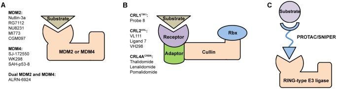 https://cdn.ncbi.nlm.nih.gov/pmc/blobs/0a3b/5951978/1c3bc530b361/fphar-09-00450-g001.jpg
