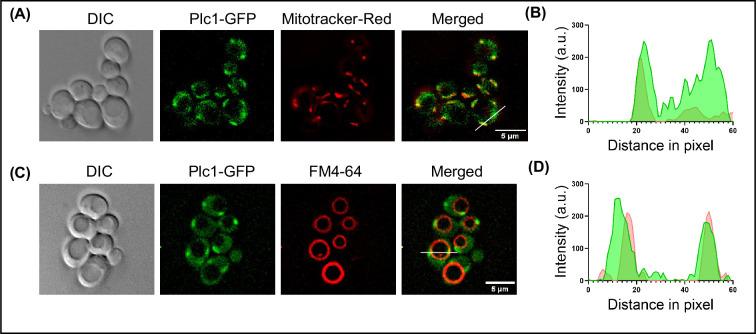 https://cdn.ncbi.nlm.nih.gov/pmc/blobs/0a3f/12055004/109874eebc9d/elife-104011-fig4-figsupp3.jpg