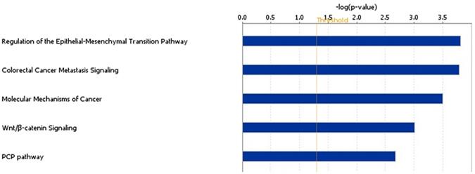 https://cdn.ncbi.nlm.nih.gov/pmc/blobs/0a3f/5446392/607c11f30cea/41598_2017_2721_Fig2_HTML.jpg