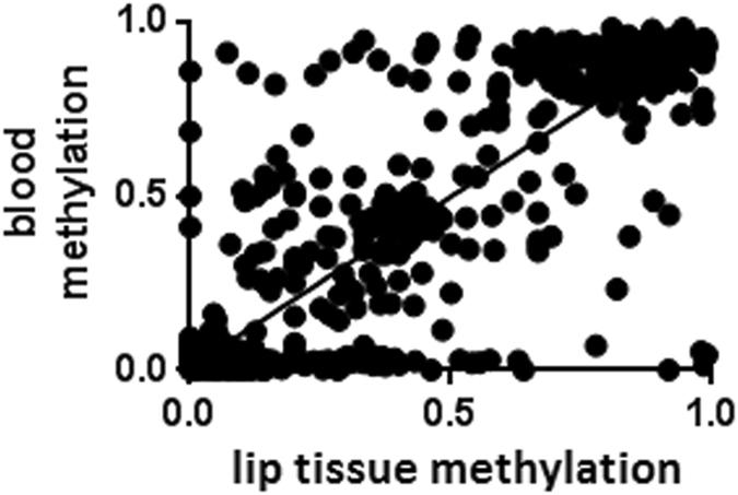 https://cdn.ncbi.nlm.nih.gov/pmc/blobs/0a3f/5446392/fffa53533af4/41598_2017_2721_Fig3_HTML.jpg