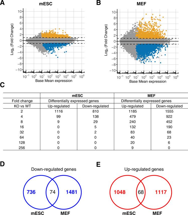 https://cdn.ncbi.nlm.nih.gov/pmc/blobs/0a41/8329007/4dd8a1780796/41418_2021_759_Fig3_HTML.jpg