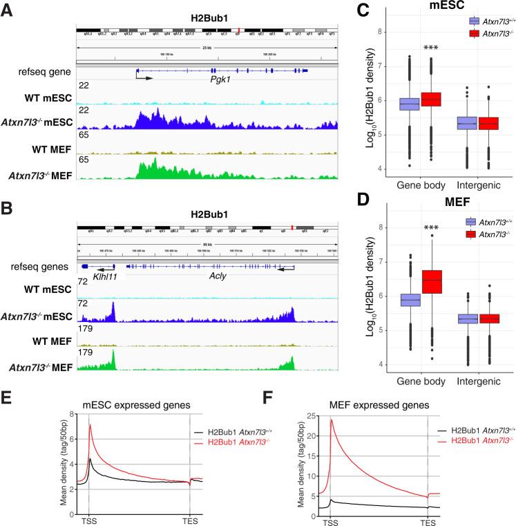 https://cdn.ncbi.nlm.nih.gov/pmc/blobs/0a41/8329007/9b17fab0a2b8/41418_2021_759_Fig5_HTML.jpg