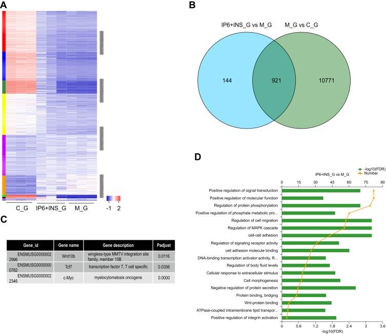 https://cdn.ncbi.nlm.nih.gov/pmc/blobs/0a42/7170648/fee59398b5ed/OTT-13-3223-g0004.jpg