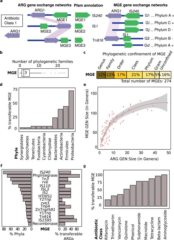 https://cdn.ncbi.nlm.nih.gov/pmc/blobs/0a42/8065159/a764320d8637/41467_2021_22757_Fig2_HTML.jpg
