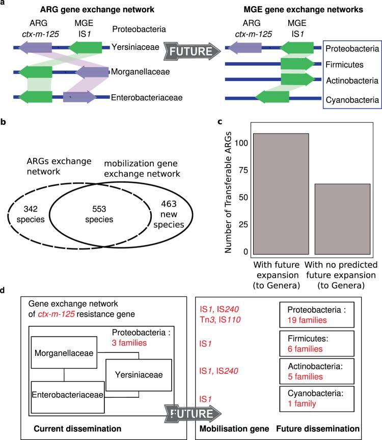 https://cdn.ncbi.nlm.nih.gov/pmc/blobs/0a42/8065159/b37f60667809/41467_2021_22757_Fig3_HTML.jpg