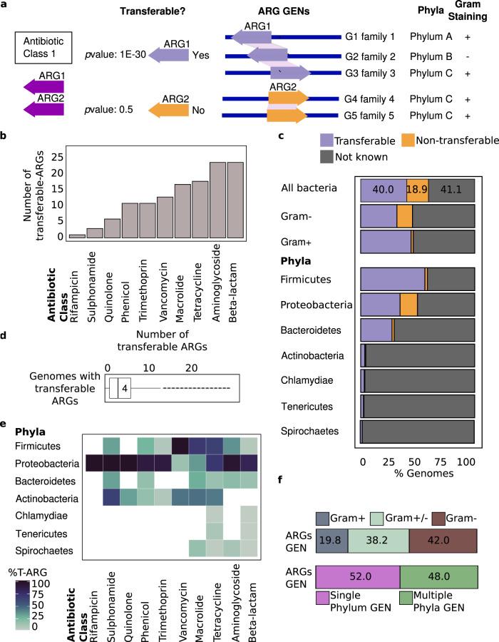 https://cdn.ncbi.nlm.nih.gov/pmc/blobs/0a42/8065159/ecbd4db3ef15/41467_2021_22757_Fig1_HTML.jpg