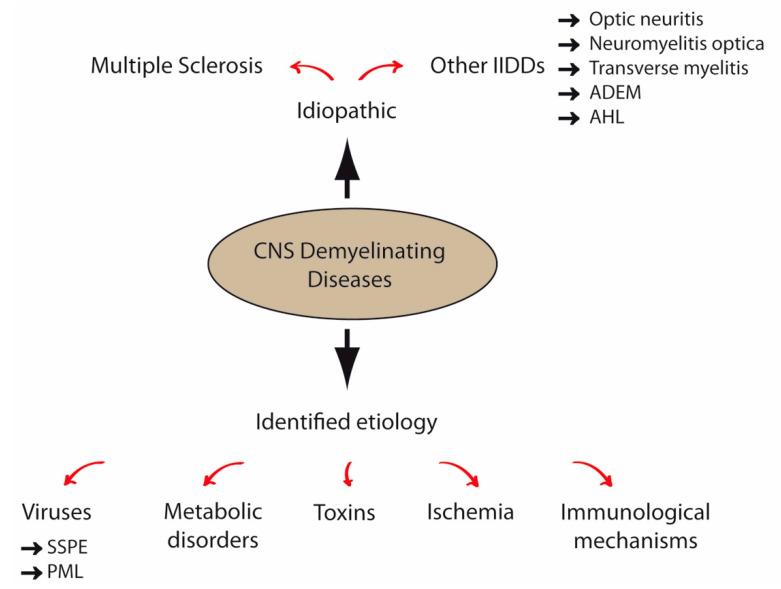 https://cdn.ncbi.nlm.nih.gov/pmc/blobs/0a43/7729475/9c663cd0af30/ijms-21-09111-g001.jpg