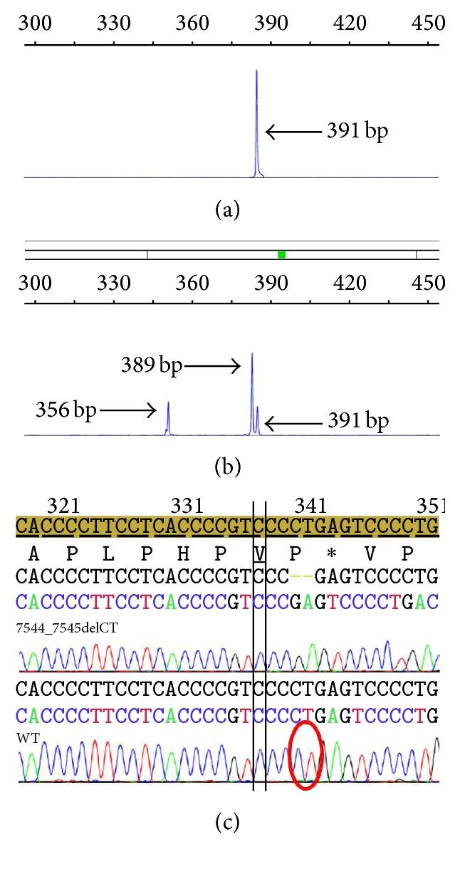 https://cdn.ncbi.nlm.nih.gov/pmc/blobs/0a44/5198094/aa17bda6126a/BMRI2016-4247908.001.jpg