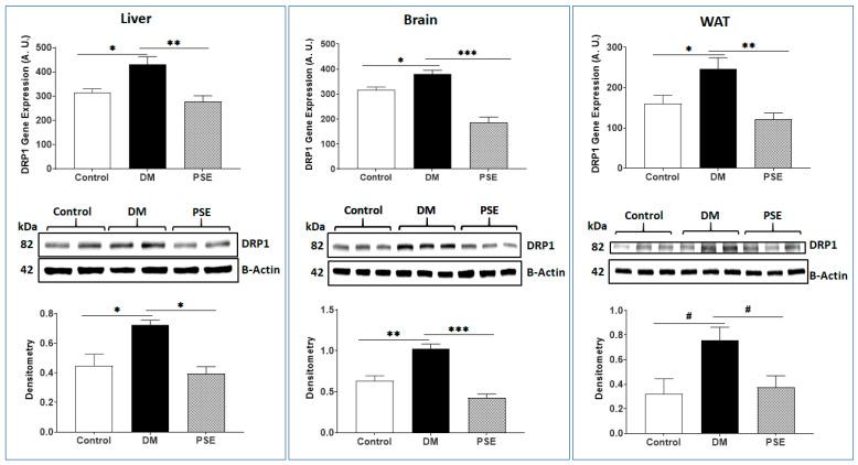 https://cdn.ncbi.nlm.nih.gov/pmc/blobs/0a46/11243022/5b0a004f0cec/nutrients-16-01977-g001.jpg