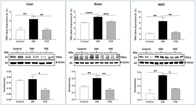 https://cdn.ncbi.nlm.nih.gov/pmc/blobs/0a46/11243022/6289ef1e8e41/nutrients-16-01977-g010.jpg