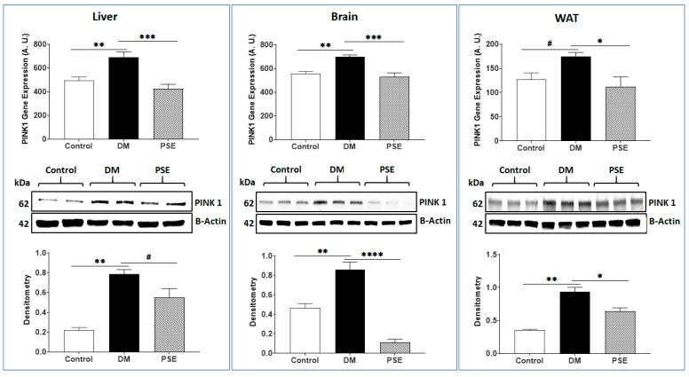 https://cdn.ncbi.nlm.nih.gov/pmc/blobs/0a46/11243022/75fcdc8cfe56/nutrients-16-01977-g008.jpg